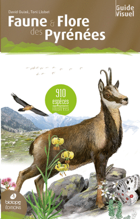 Faune et flore des Pyrénées