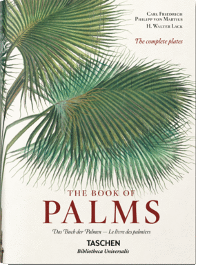 Martius. Libro de las Palmeras BU IEP