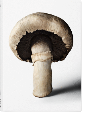 The Gourmand's Mushroom. A Collection of Stories & Recipes