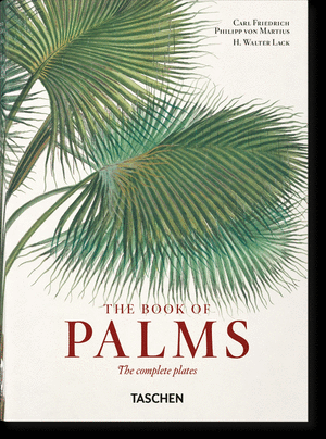 The Book of Palms INT (40)