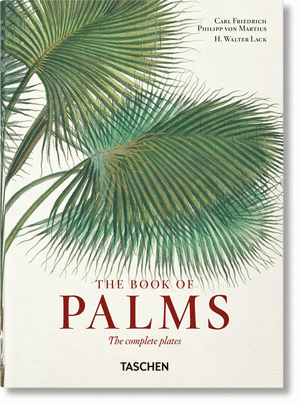 El libro de las palmeras IEP (40)