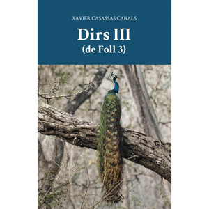 Dirs III (de folls 3)