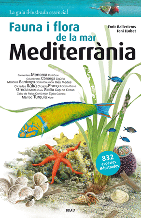 Fauna i flora de la mar Mediterrània 1a. ed.