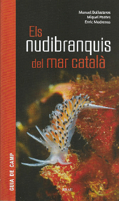 Els nudibranquis del mar català