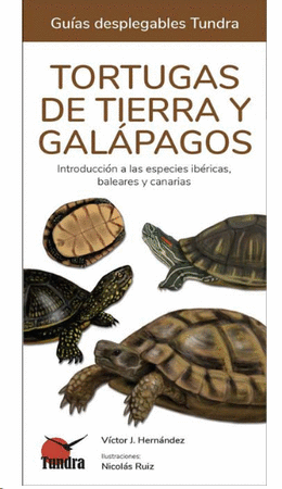 Tortugas de tierra y galápagos