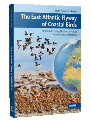 The East Atlantic Flyway of Coastal Birds