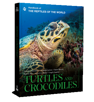 Turtles and Crocodiles