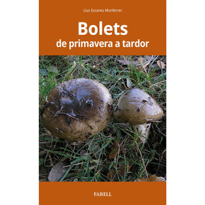 Bolets de primavera a tardor