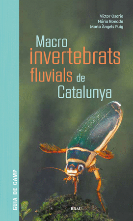 Macroinvertebrats fluvials de Catalunya