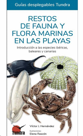 Restos de fauna y flora marinas en las playas. 49