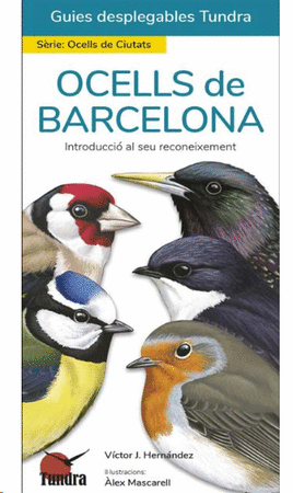 Ocells de Barcelona 1