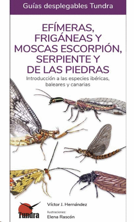 Efímeras, frigáneas y moscas escorpión, serpiente y de las piedras. 26