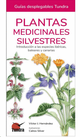 Plantas medicinales silvestres 42