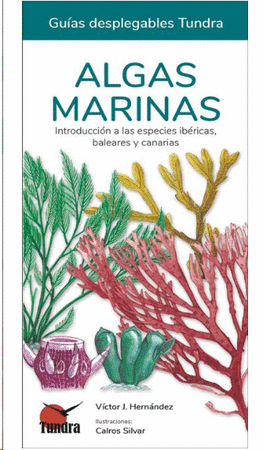 Algas marinas 44