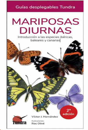 Mariposas diurnas 17