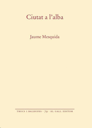 Ciutat a l'alba