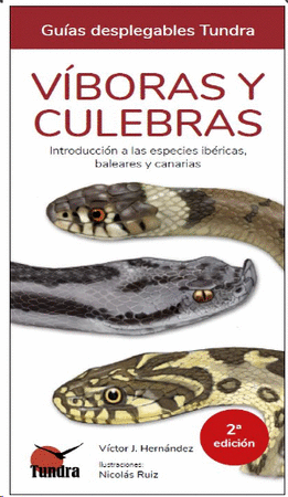 Víboras y culebras