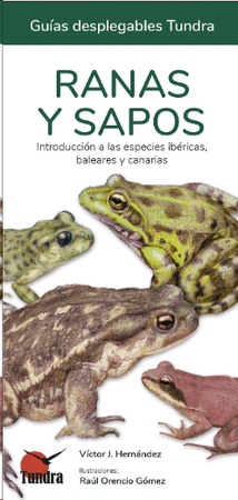 Ranas y sapos
