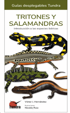 Tritones y salamandras