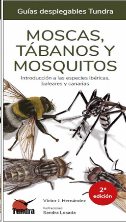 Moscas, Tábanos y Mosquitos 51