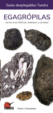 Egagrópilas de las aves ibéricas, baleares y canarias 33