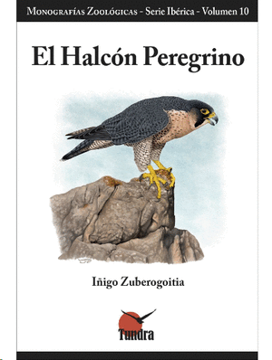 El Halcón Peregrino