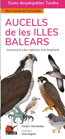 Aucells de les Illes Balears 9