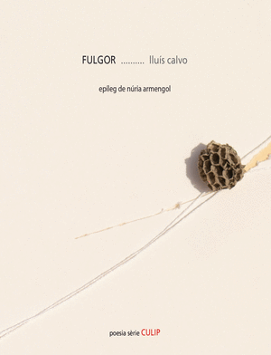 Fulgor