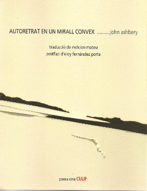 Autoretrat en un mirall convex