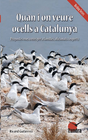 Quan i on veure ocells a Catalunya