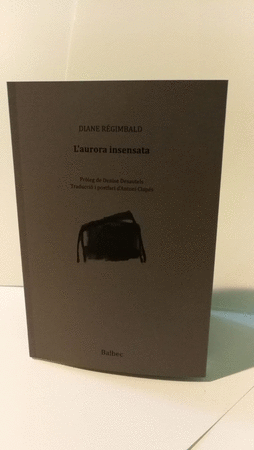 L'Aurora insensata