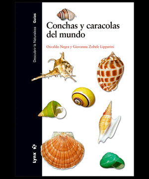 Conchas y caracolas del mundo