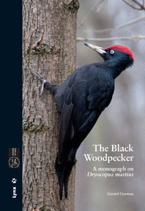 BLACK WOODPECKER, THE