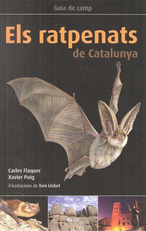 Els ratpenats de Catalunya